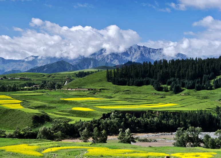 祁连山地区